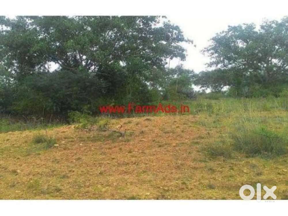5 Acres Kankumbi near Belgum Goa highway.