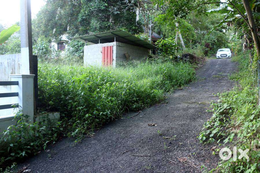 House plot 8.3 cents near Ettumanoor SFS school 4.75 lakh/cent