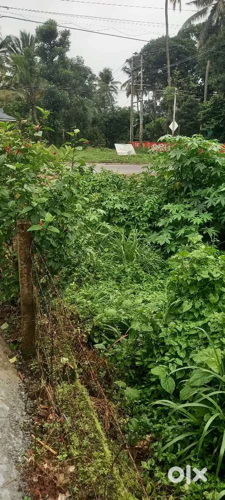 7Cent Plot for sale near Amala hospital