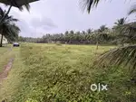 50 m from road .
