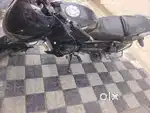 Mint condition Pulsar 125 CC
