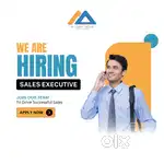 Sales Executive / Inquiry Handler