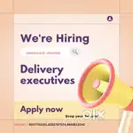 DELIVERY EXECUTIVES