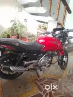 Pulsar bike