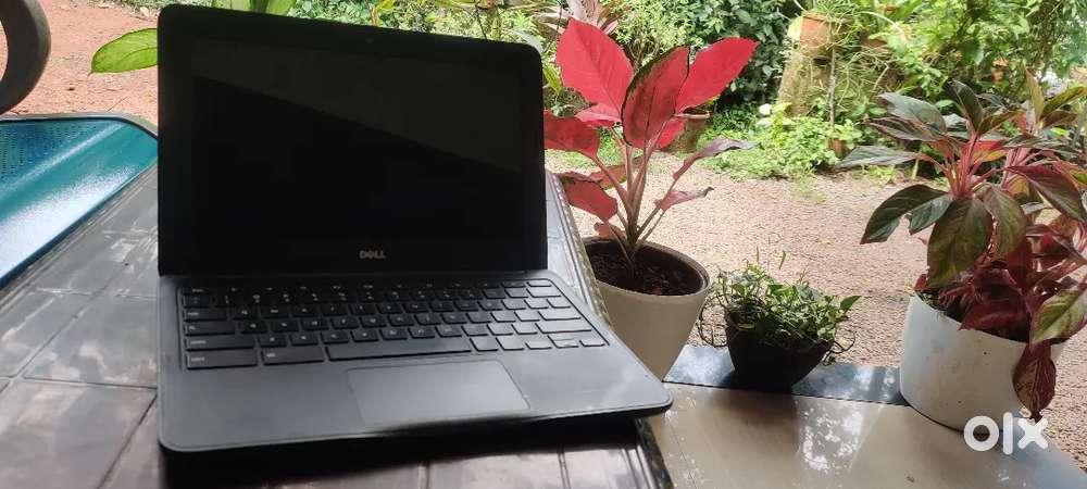 Dell chrome book