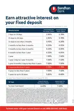 Bandhan Banking Products