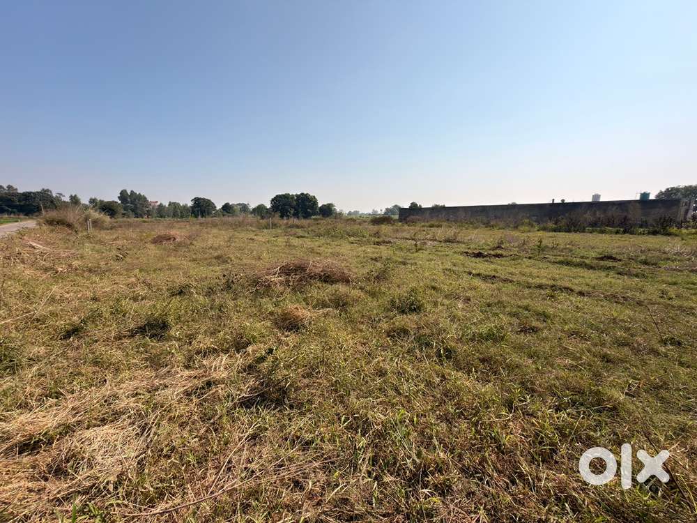 Farmland Patch in Sector 4 New Chandigarh