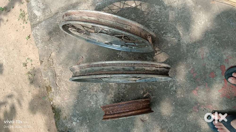 Pesn Passion Pro bike ring