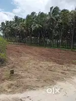 Pollachi Bye pass Road Near By Land For Salr