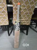Top grade Kashmir Willow and New Large size gloves for Rs. 4500