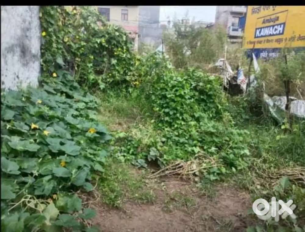 Shinghadevi Naya Goan 120 gaj