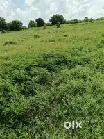 Two acres of agricultural land for sale in Ladunoor, Siddipet district