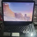 Good condition or updated windows