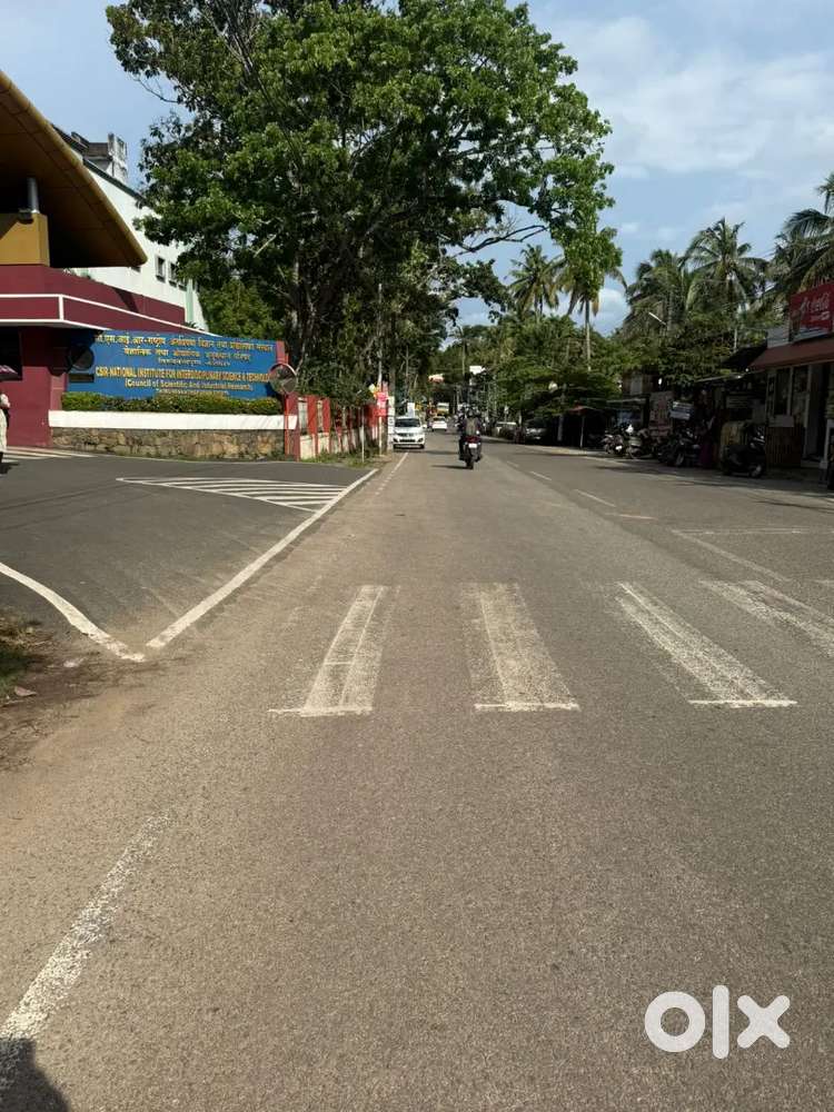 2 Cent Road Side Pappanamcode Residential Commerical Use Plot for Sale