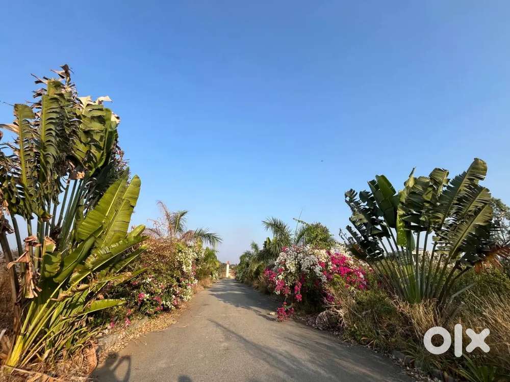 We have plots for sale