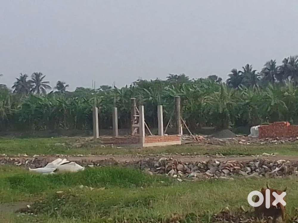 Come Home To The Good Life!