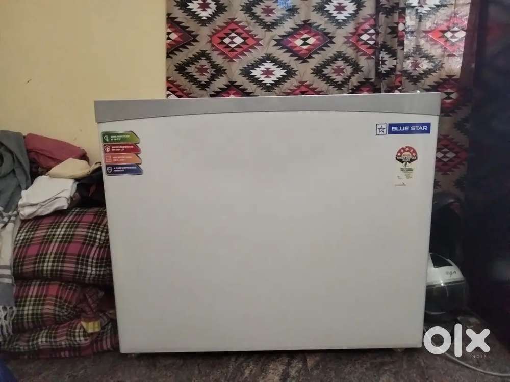BLUE STAR 230 LITRES DEEP FREEZER