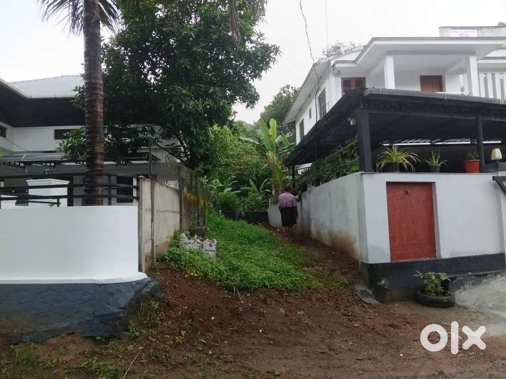 Kulapully - palakad highway 
 Road next to Carmel school... 250m away