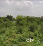 Uvarsad land For Sale