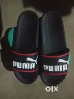 Puma slipper
