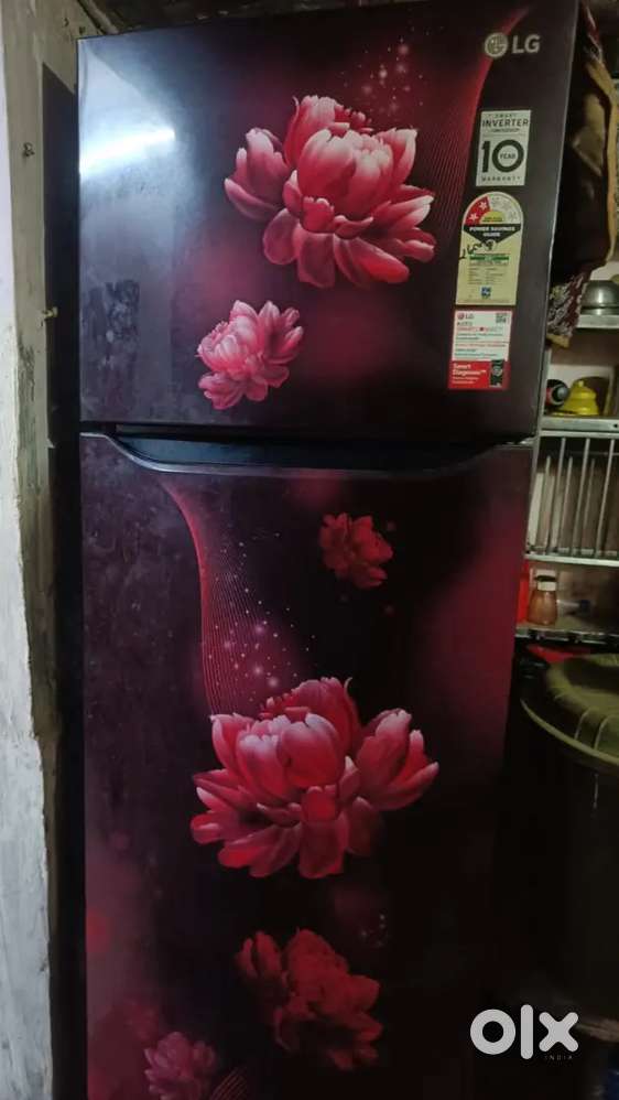Lg double door 2 star refrigerator