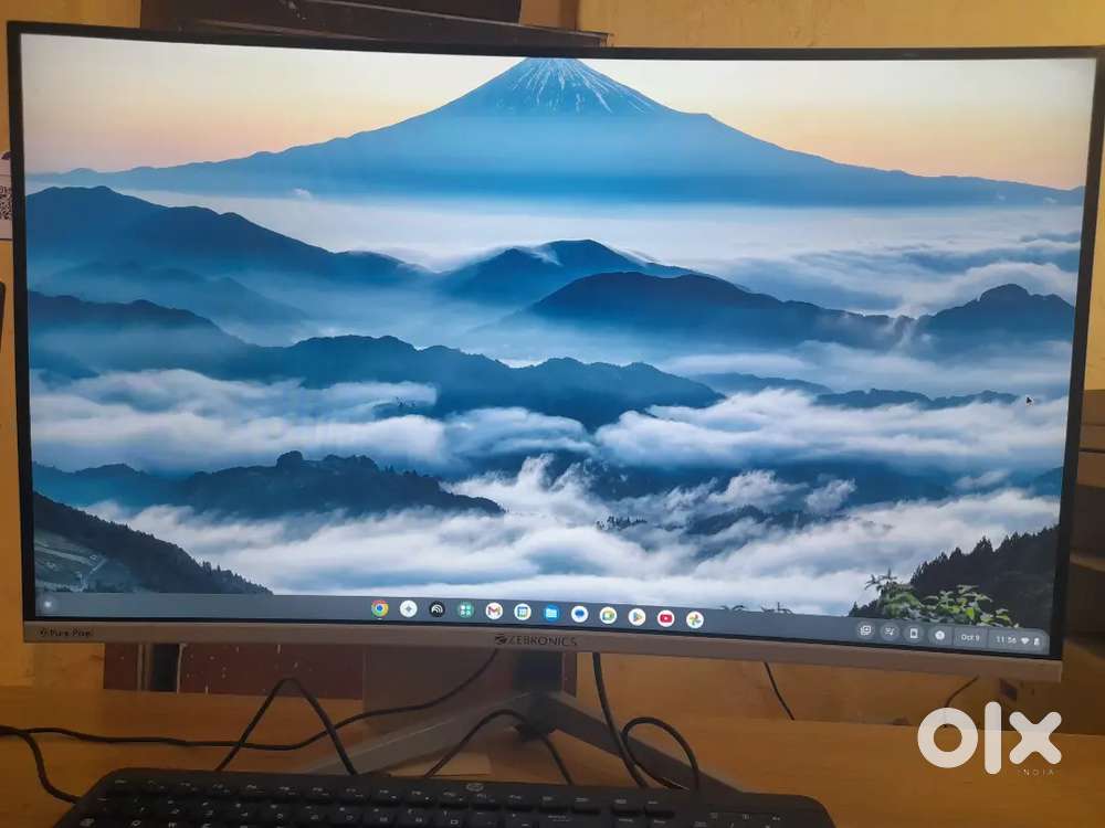 Zebronics monitor