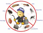 Urgent care pest control