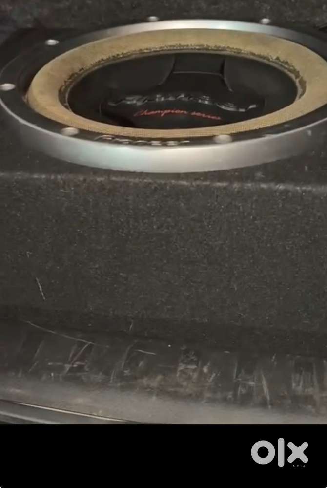 pioneer champion series307 subwoofer double coil and double magnet