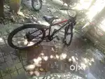 Schnell bicycle