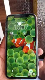 iPhone XR good condition