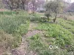 Premium Land for Sale in Karghar, Rohtas – ₹3.20 Lakh per Dismil – Ide