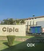 Urgent hiring Cipla private medicine girls and boys