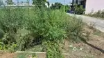 75 square yards plot for sale in vishnupuram 1st approved