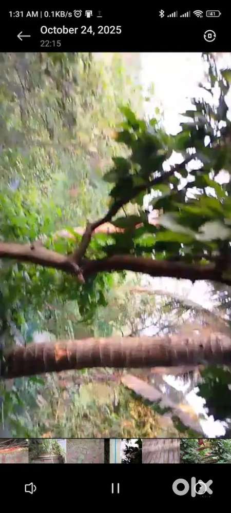 10katha  south facing land