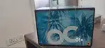 The O.C. - The Complete Series' DVD