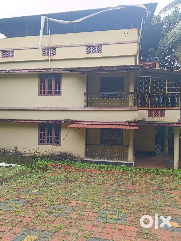 MUTHUVARA 15.5 CENT PLOT WITH HOUSE FOR SALE