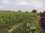 3 एकर जमीन विकणे आहे ढाकेफळ त.पैठण जि.संभाजीनगर