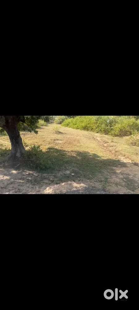 Plot for sale in Pasla highway se 100 meter anadr cc road ke bagal se
