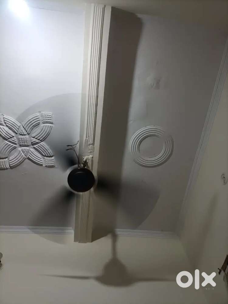 Female roommates required