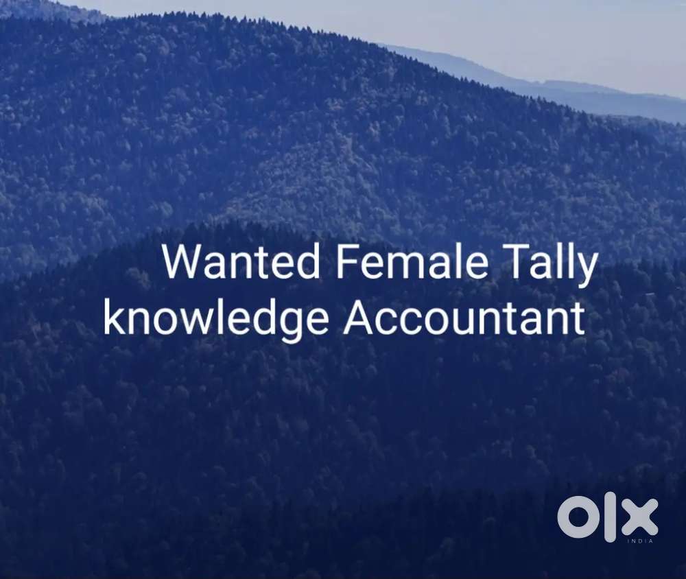 Tally accountant
