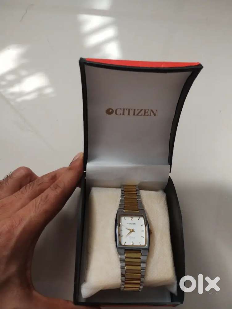 WATCH Citizen Tank with President strap (₹4000) + Shoes Clarks (₹6500)