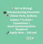 Telesales Executive