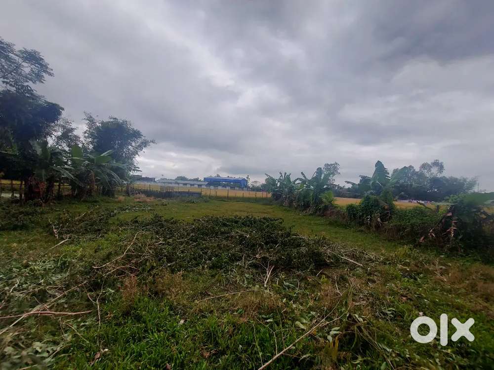 Land for sale please come and check if you are interested