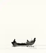Boat Rokerz 370
