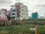 NEAR NTR necklace road
