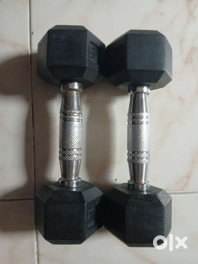 2.5Kg Steel Dumbbells (Set of 2)