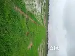 Agri land for farmhouse on highway