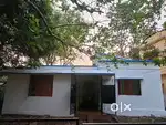 Plot with a House in Shyamacharanpur