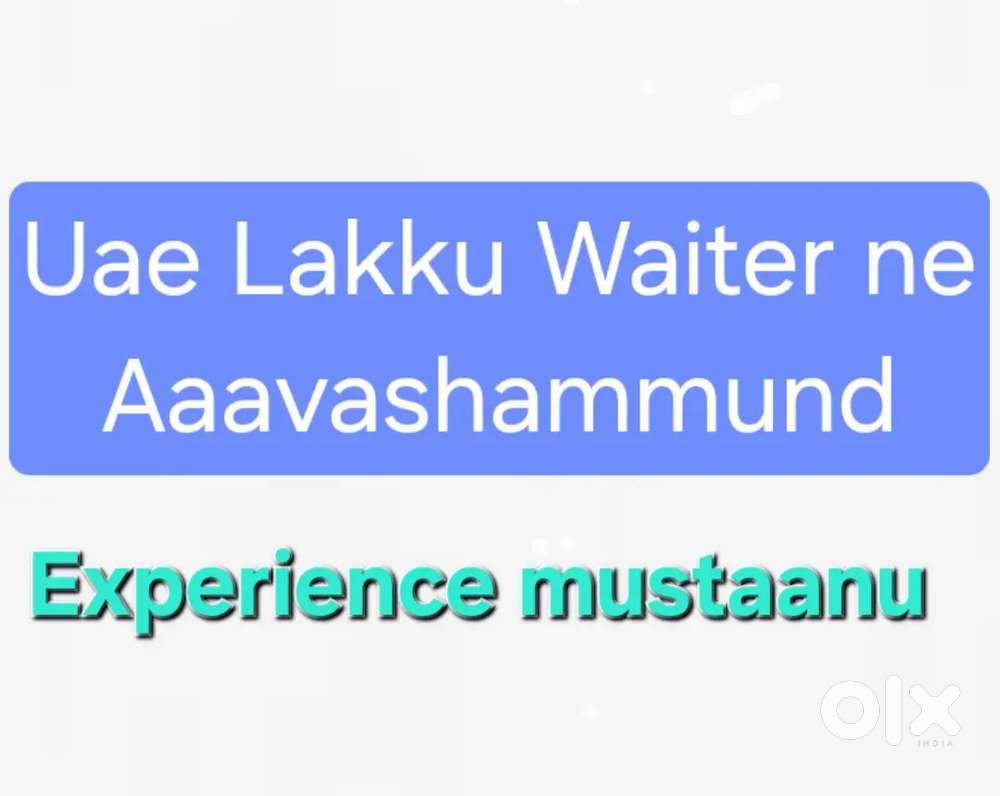 Restaurant waiter