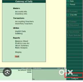 Tally GST filing
